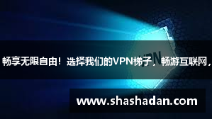 保护隐私，畅享无限自由！选择我们的VPN梯子，畅游互联网，无忧无虑！